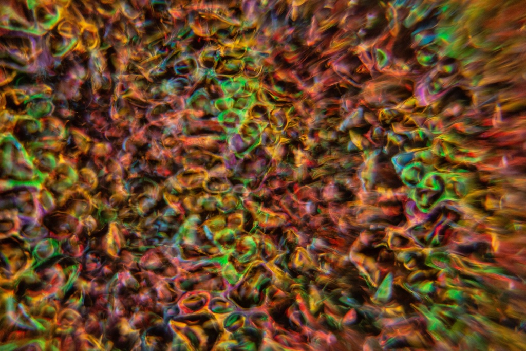 image_1