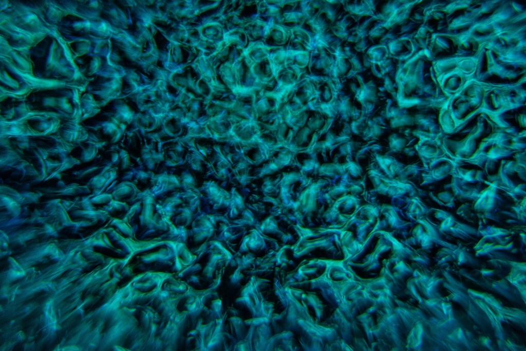 image_7